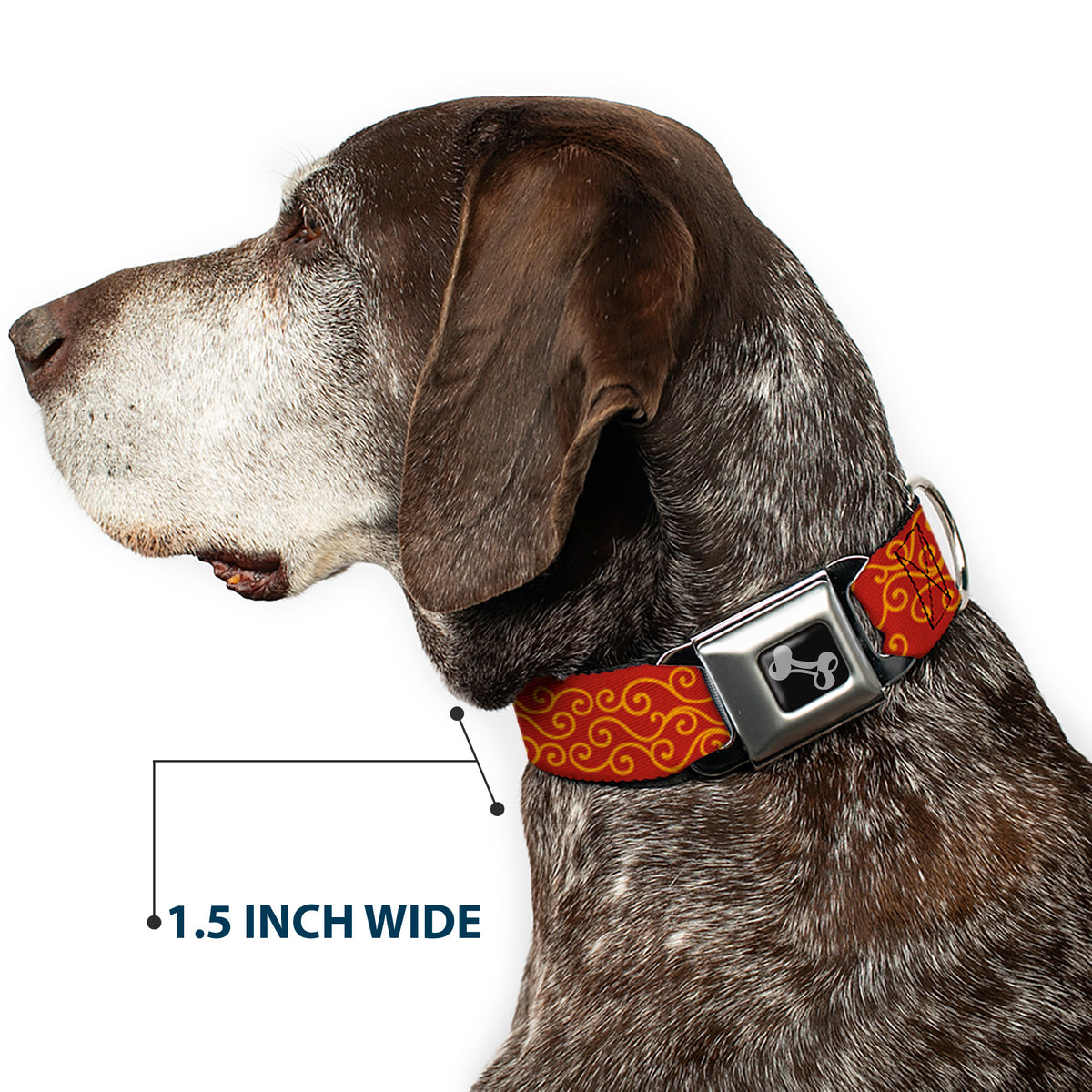 Dog Bone Seatbelt Buckle Collar - Holiday Trim Swirls Red/Gold Dog Collars Seatbelt Buckle Buckle-Down