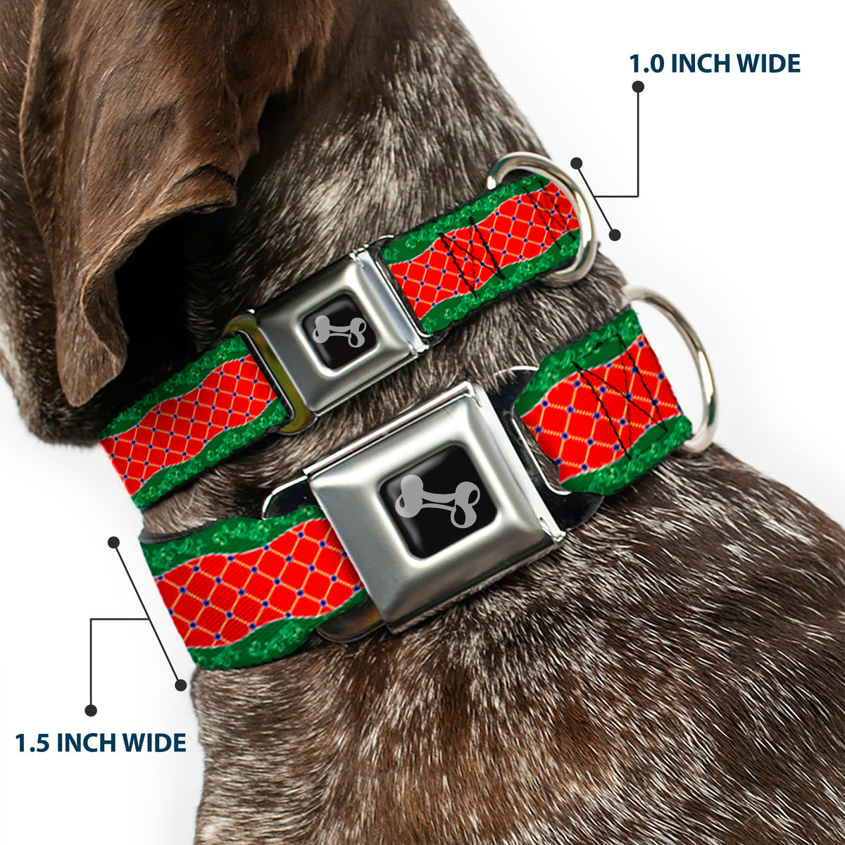 Dog Bone Seatbelt Buckle Collar - Holiday Trim Stripe Green/Red Dog Collars Seatbelt Buckle Buckle-Down