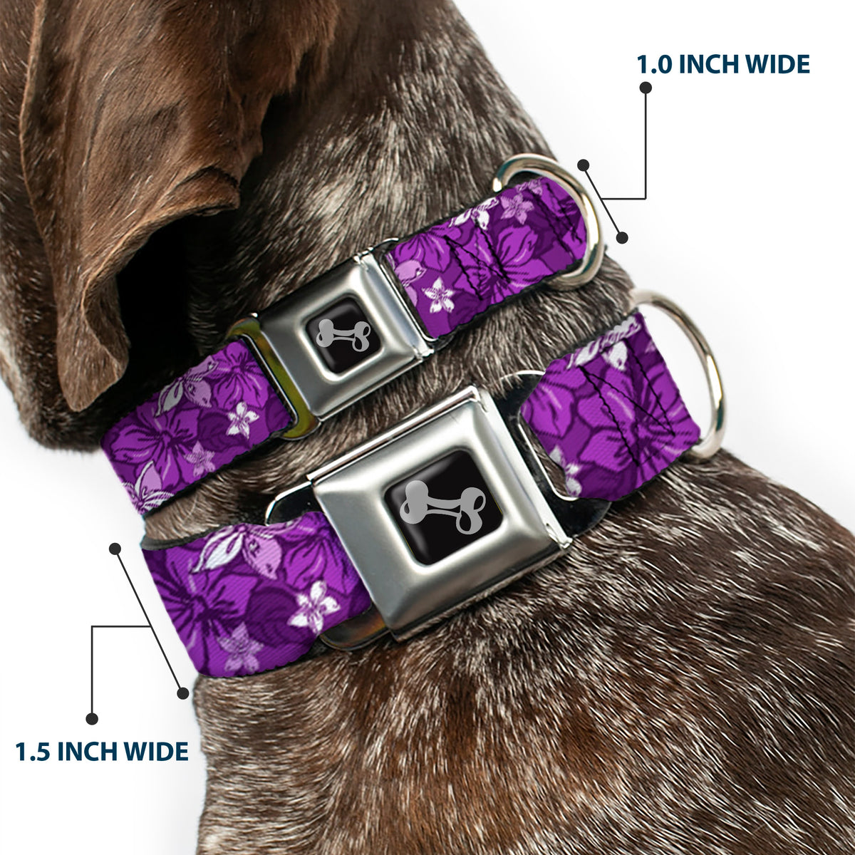 Dog Bone Seatbelt Buckle Collar - Hibiscus Collage Purple Shades Dog Collars Seatbelt Buckle Buckle-Down