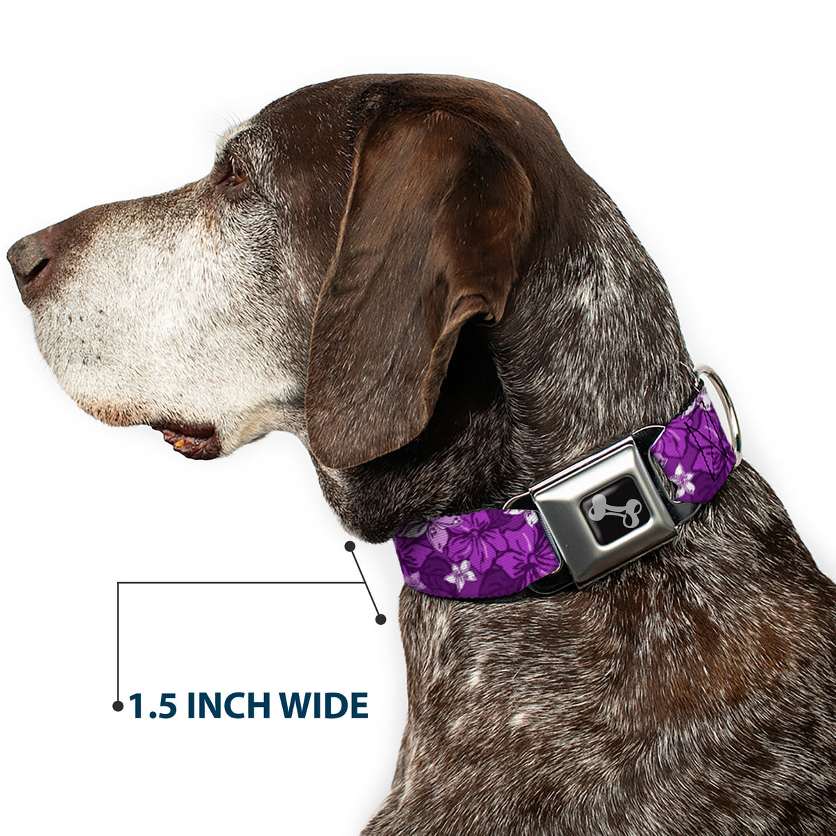 Dog Bone Seatbelt Buckle Collar - Hibiscus Collage Purple Shades Dog Collars Seatbelt Buckle Buckle-Down