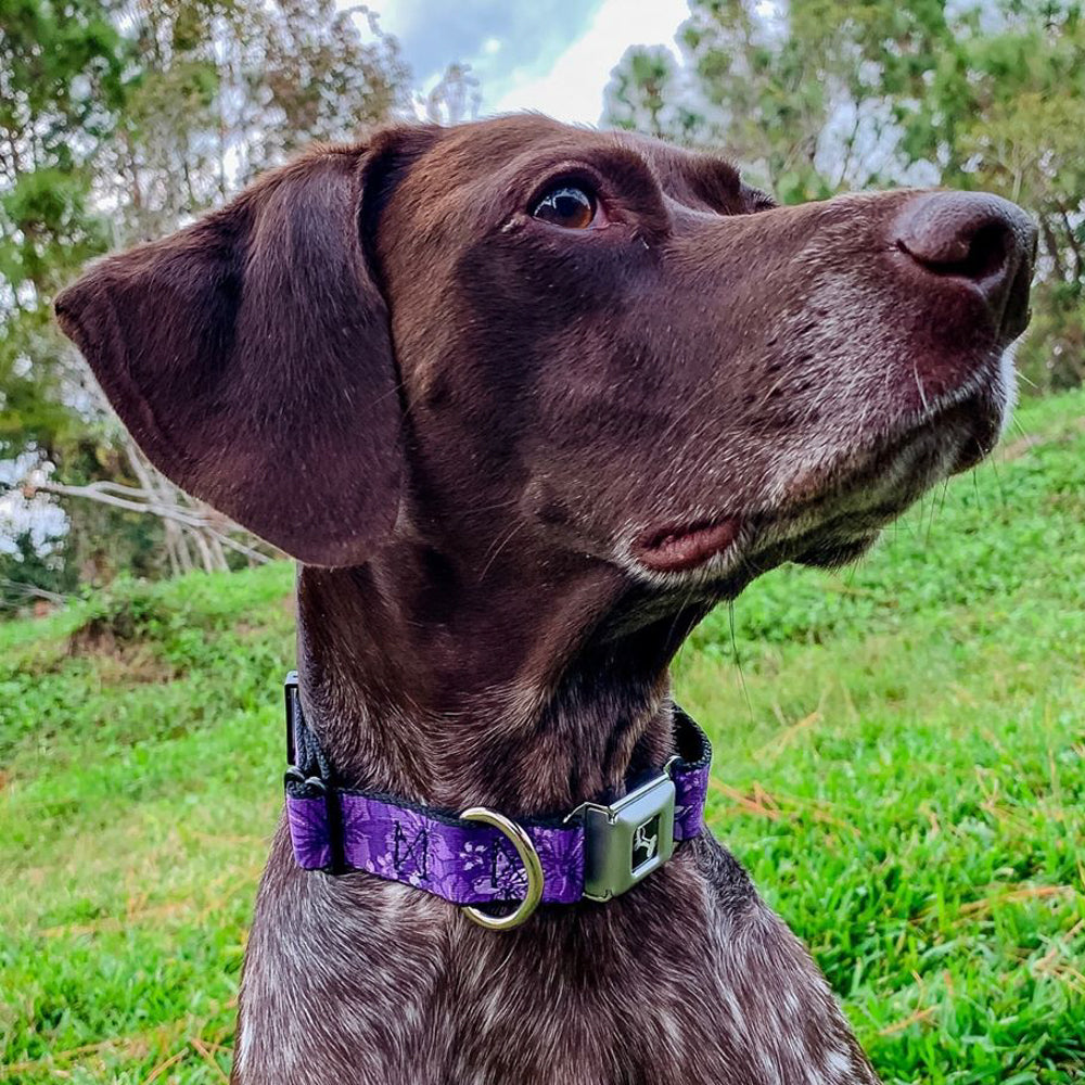 Dog Bone Seatbelt Buckle Collar - Hibiscus Collage Purple Shades Dog Collars Seatbelt Buckle Buckle-Down