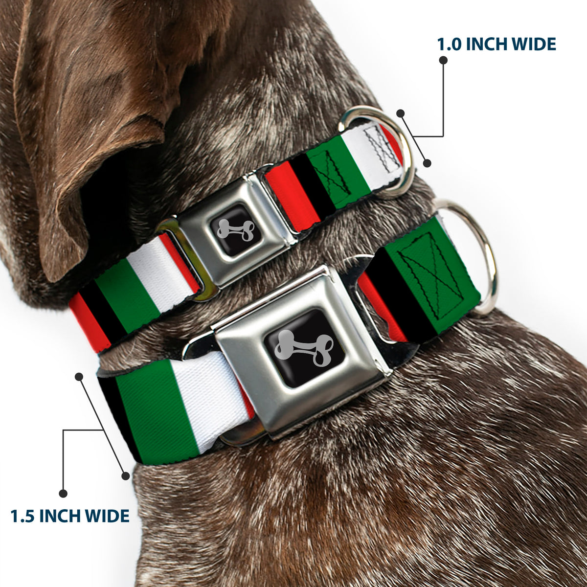 Dog Bone Seatbelt Buckle Collar - Italy Flags Dog Collars Seatbelt Buckle Buckle-Down
