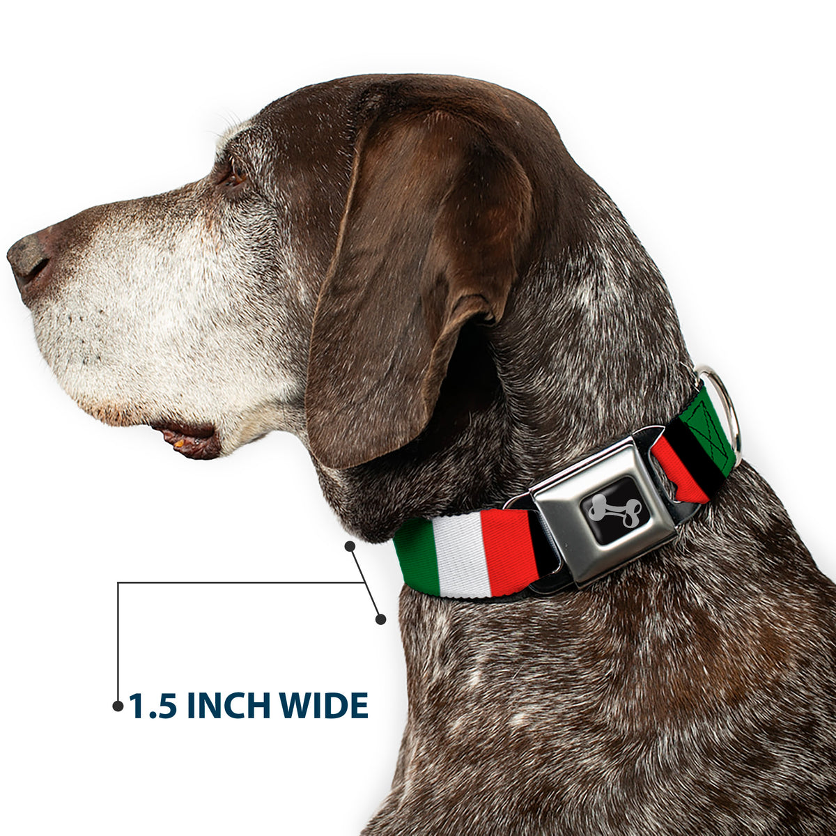 Dog Bone Seatbelt Buckle Collar - Italy Flags Dog Collars Seatbelt Buckle Buckle-Down
