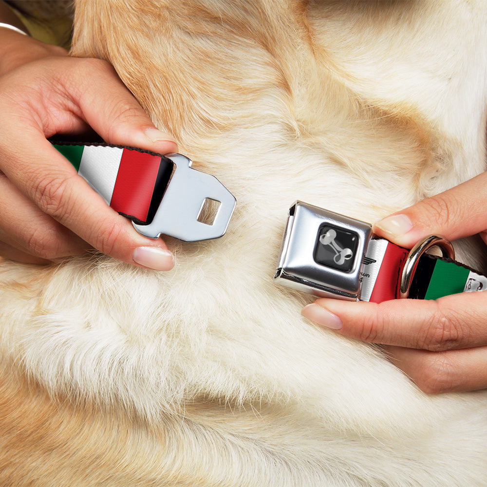 Dog Bone Seatbelt Buckle Collar - Italy Flags Dog Collars Seatbelt Buckle Buckle-Down