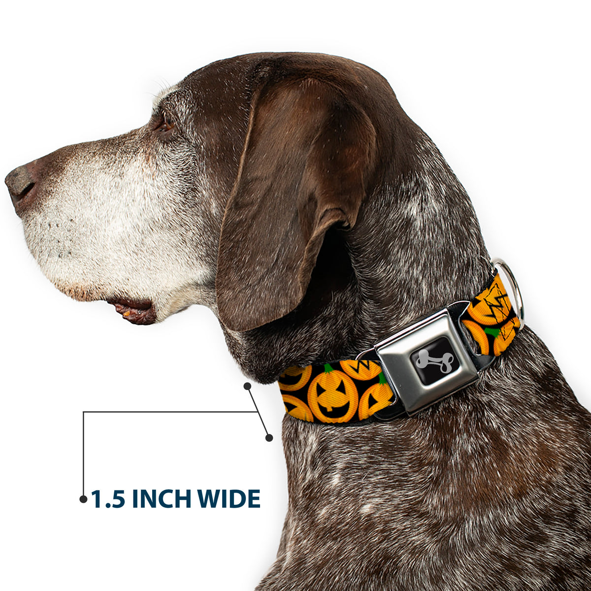 Dog Bone Seatbelt Buckle Collar - Jack-o'-Lantern Collage Black Dog Collars Seatbelt Buckle Buckle-Down