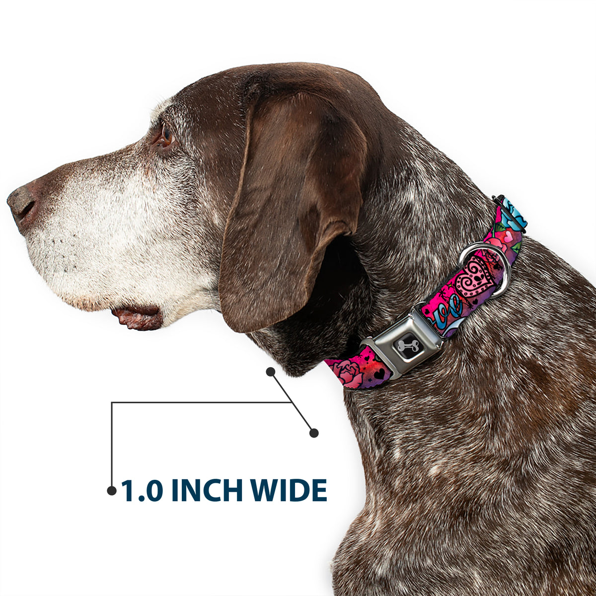 Dog Bone Seatbelt Buckle Collar - Love Love Pink Dog Collars Seatbelt Buckle Buckle-Down