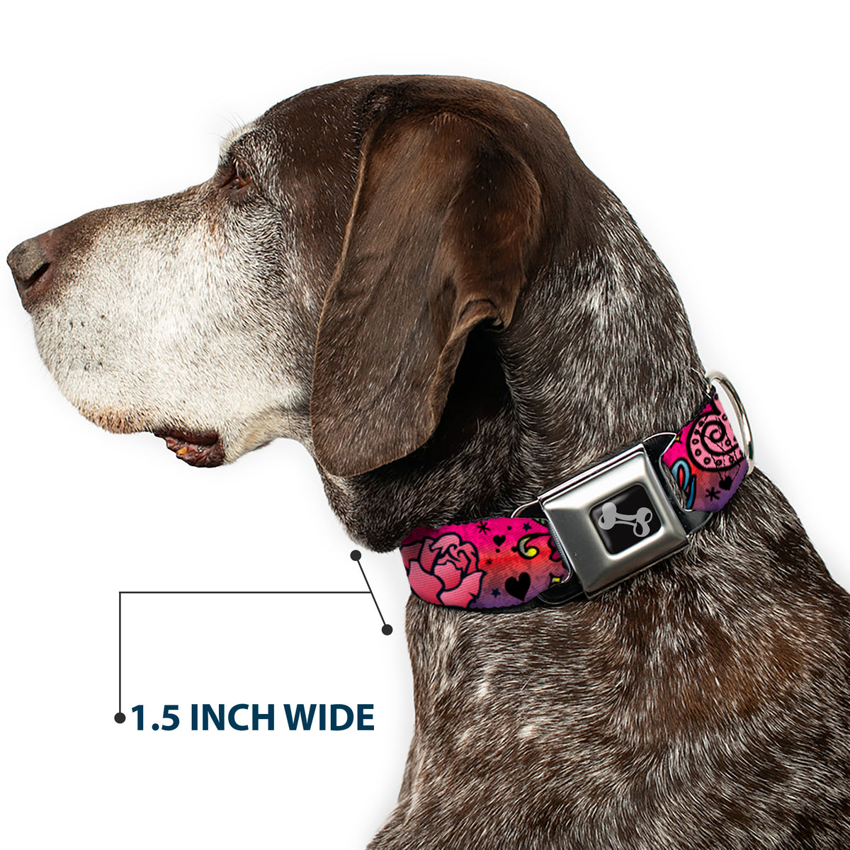 Dog Bone Seatbelt Buckle Collar - Love Love Pink Dog Collars Seatbelt Buckle Buckle-Down