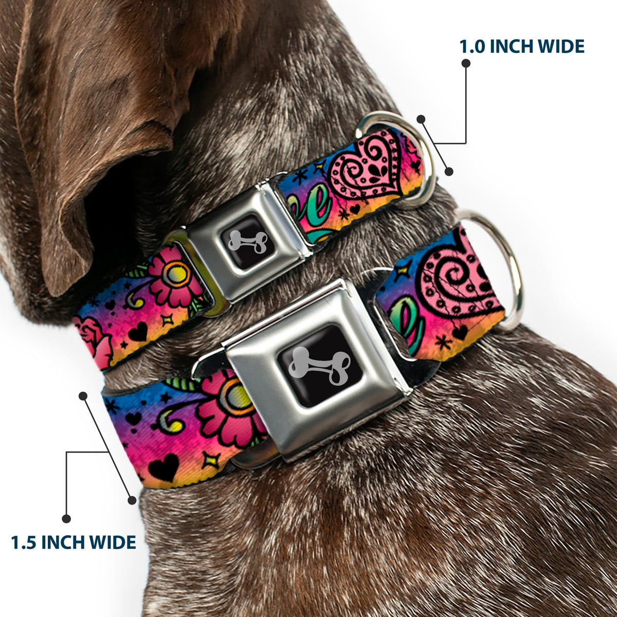 Dog Bone Seatbelt Buckle Collar - Love Love Purple Dog Collars Seatbelt Buckle Buckle-Down