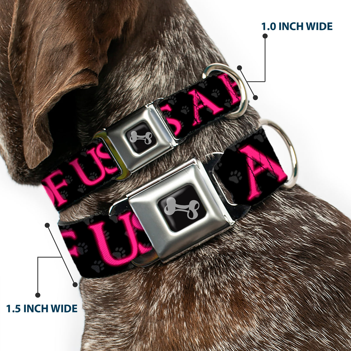 Buckle-Down Seatbelt Buckle Dog Collar - ONE OF US IS A BITCH Crown/Paws Black/Gray/Pink Dog Collars Seatbelt Buckle Buckle-Down