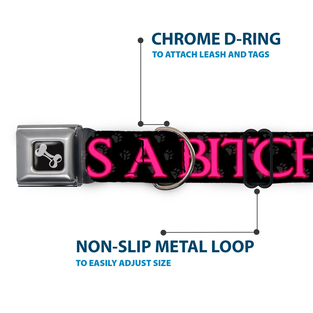 Buckle-Down Seatbelt Buckle Dog Collar - ONE OF US IS A BITCH Crown/Paws Black/Gray/Pink Dog Collars Seatbelt Buckle Buckle-Down