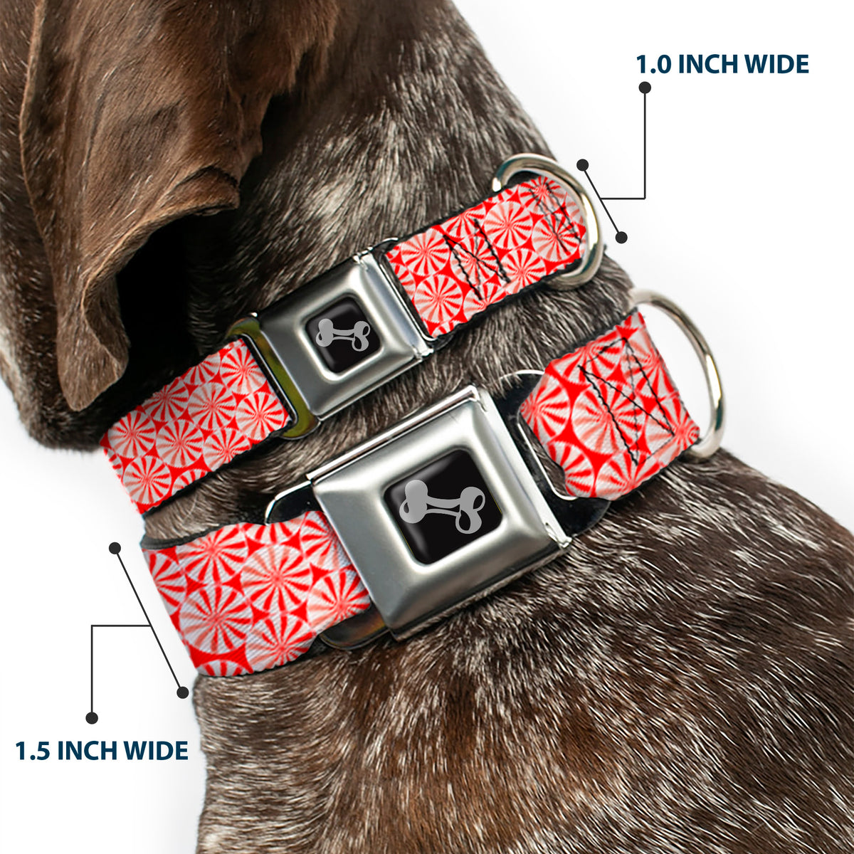 Dog Bone Seatbelt Buckle Collar - Peppermint Candies Dog Collars Seatbelt Buckle Buckle-Down