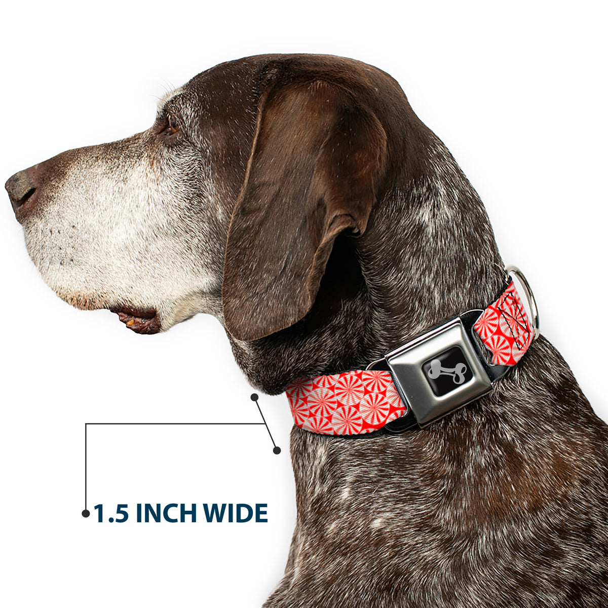Dog Bone Seatbelt Buckle Collar - Peppermint Candies Dog Collars Seatbelt Buckle Buckle-Down