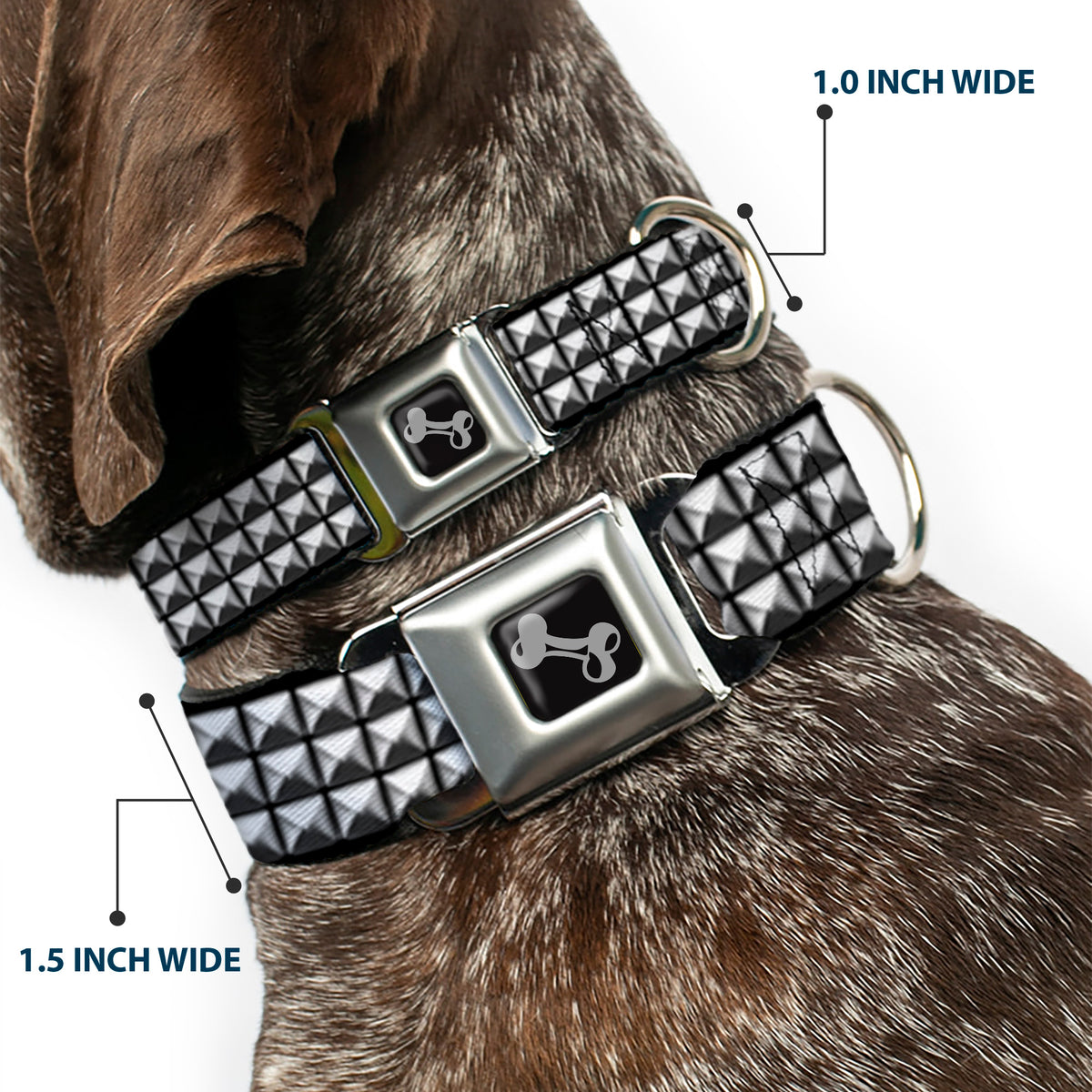 Dog Bone Black/Silver Seatbelt Buckle Collar - Printed Studs Dog Collars Seatbelt Buckle Buckle-Down