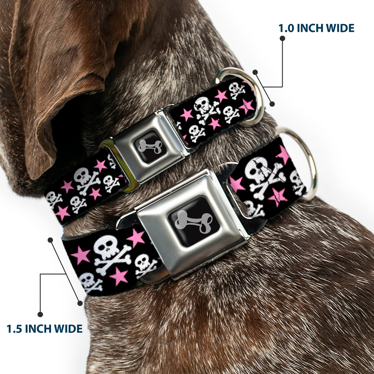 Dog Bone Seatbelt Buckle Collar - Skulls & Stars Black/White/Pink Dog Collars Seatbelt Buckle Buckle-Down