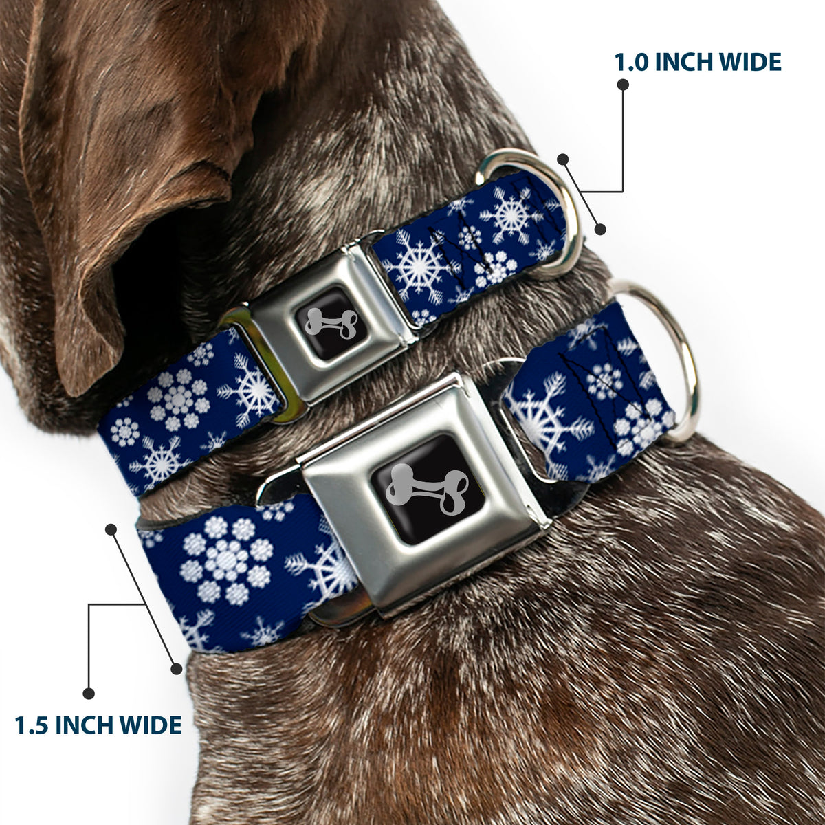 Dog Bone Seatbelt Buckle Collar - Snowflakes Blue/White Dog Collars Seatbelt Buckle Buckle-Down