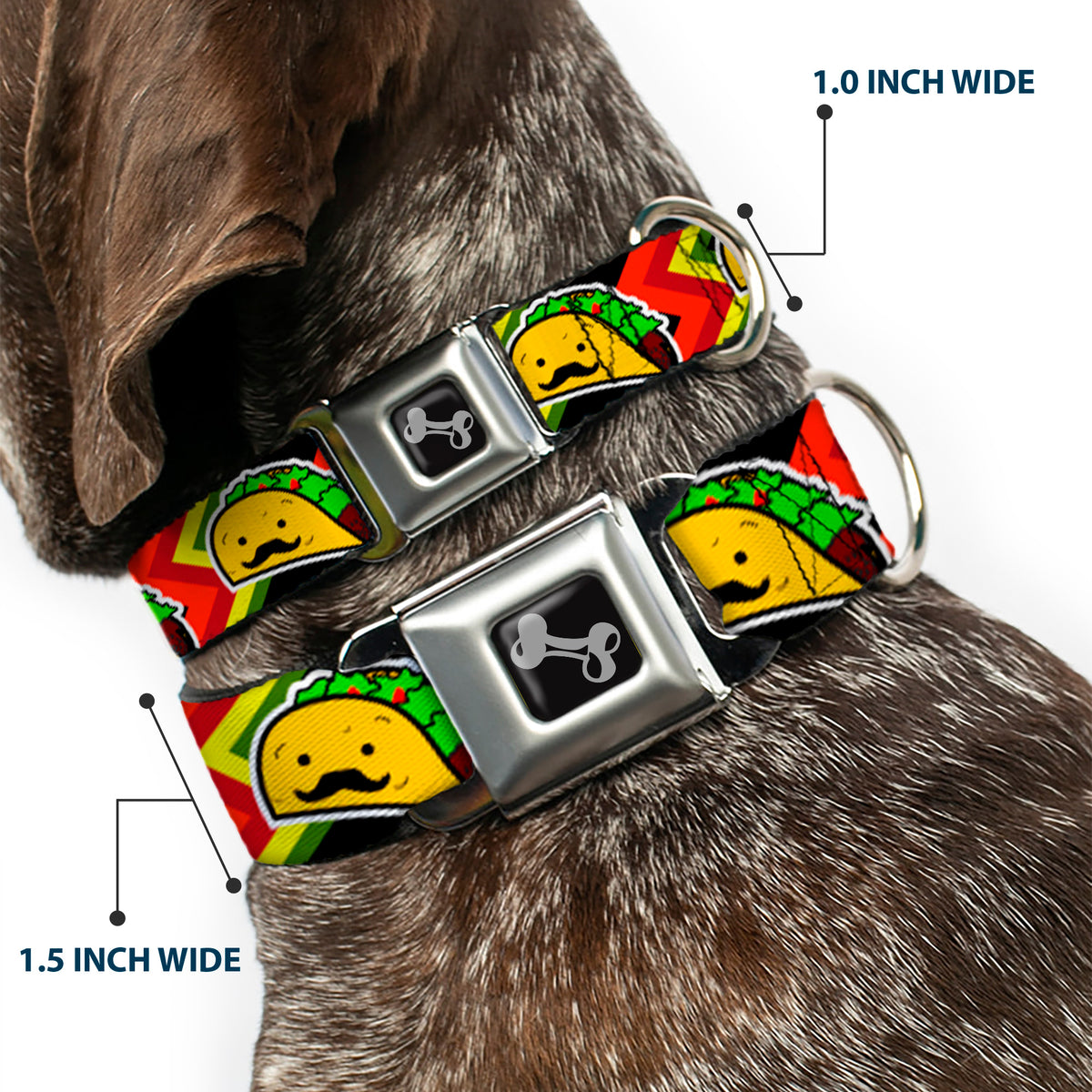 Dog Bone Seatbelt Buckle Collar - Taco Man Dog Collars Seatbelt Buckle Buckle-Down