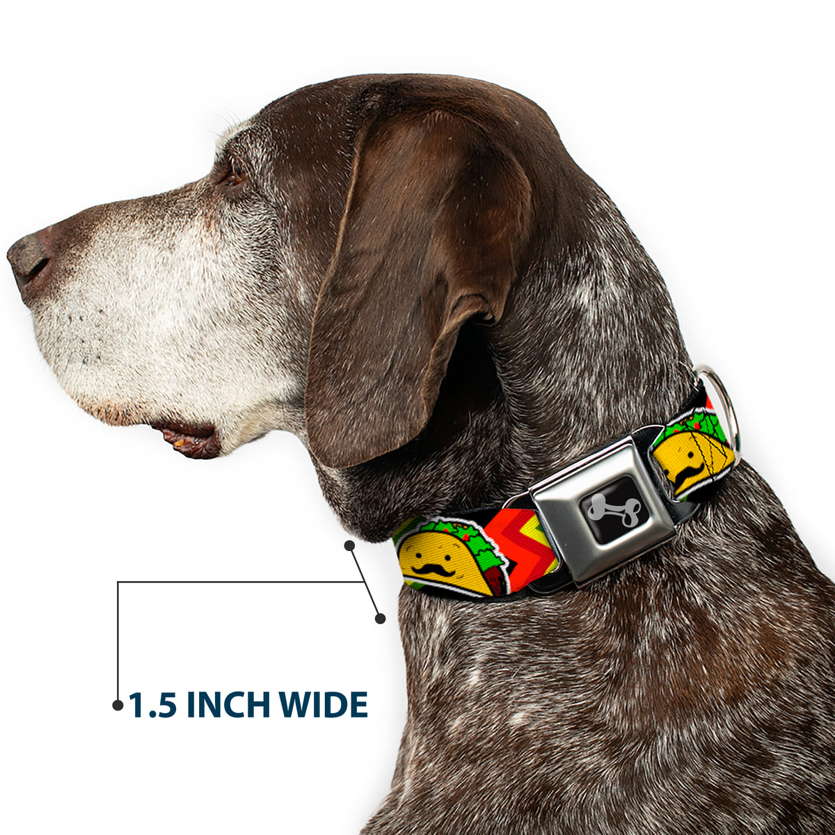 Dog Bone Seatbelt Buckle Collar - Taco Man Dog Collars Seatbelt Buckle Buckle-Down