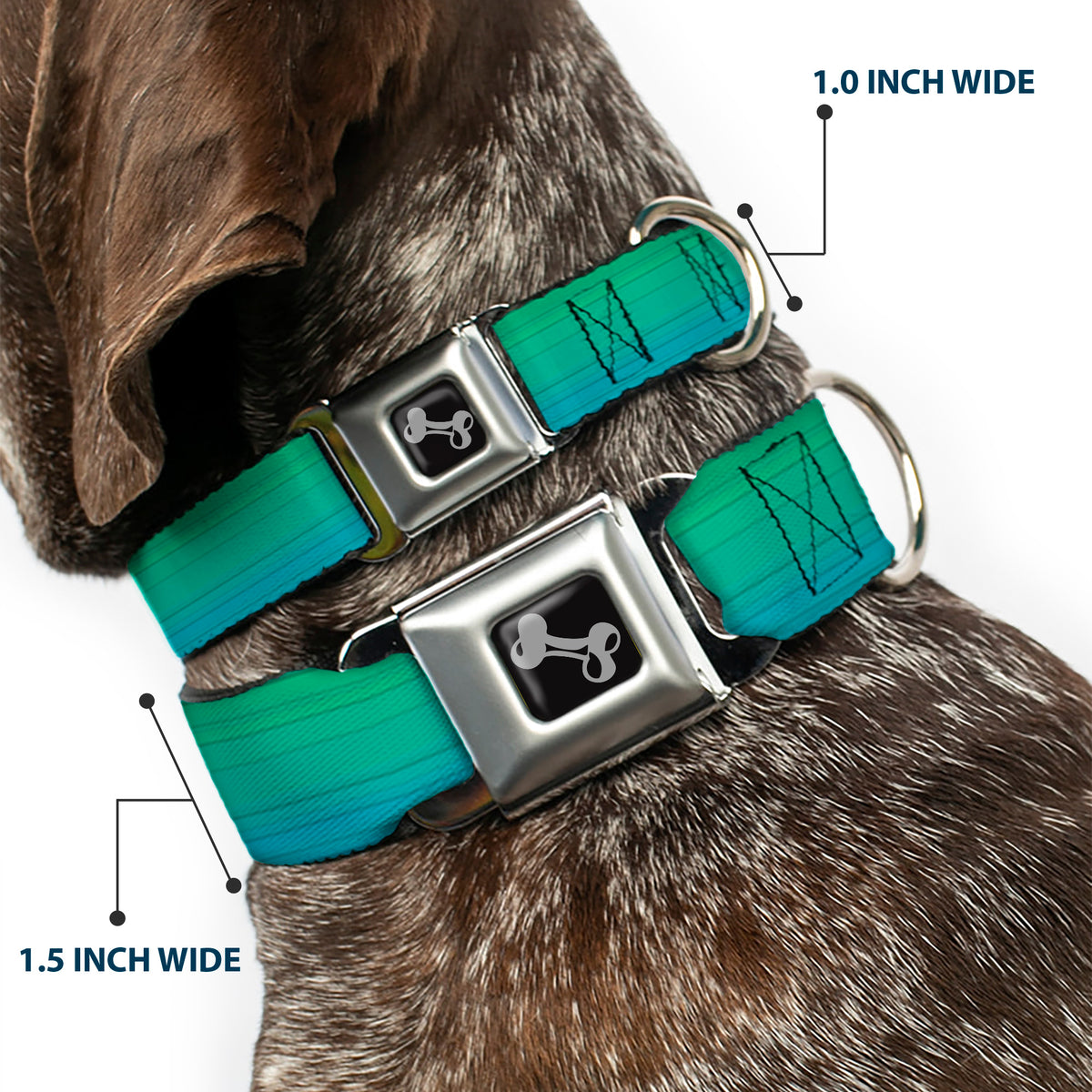 Dog Bone Seatbelt Buckle Collar - Teal Ombre Dog Collars Seatbelt Buckle Buckle-Down