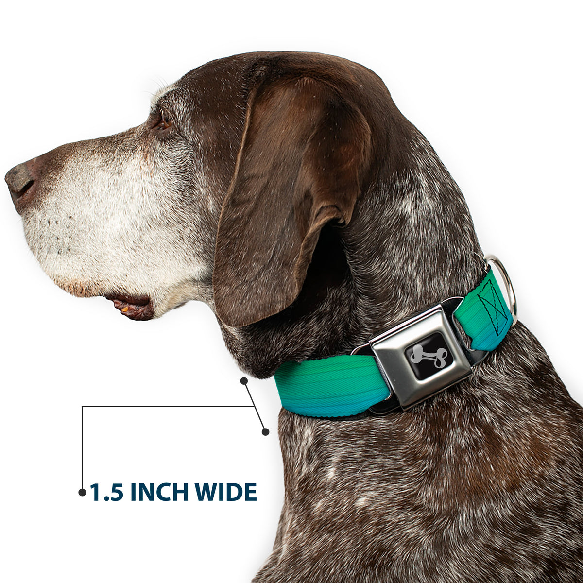 Dog Bone Seatbelt Buckle Collar - Teal Ombre Dog Collars Seatbelt Buckle Buckle-Down
