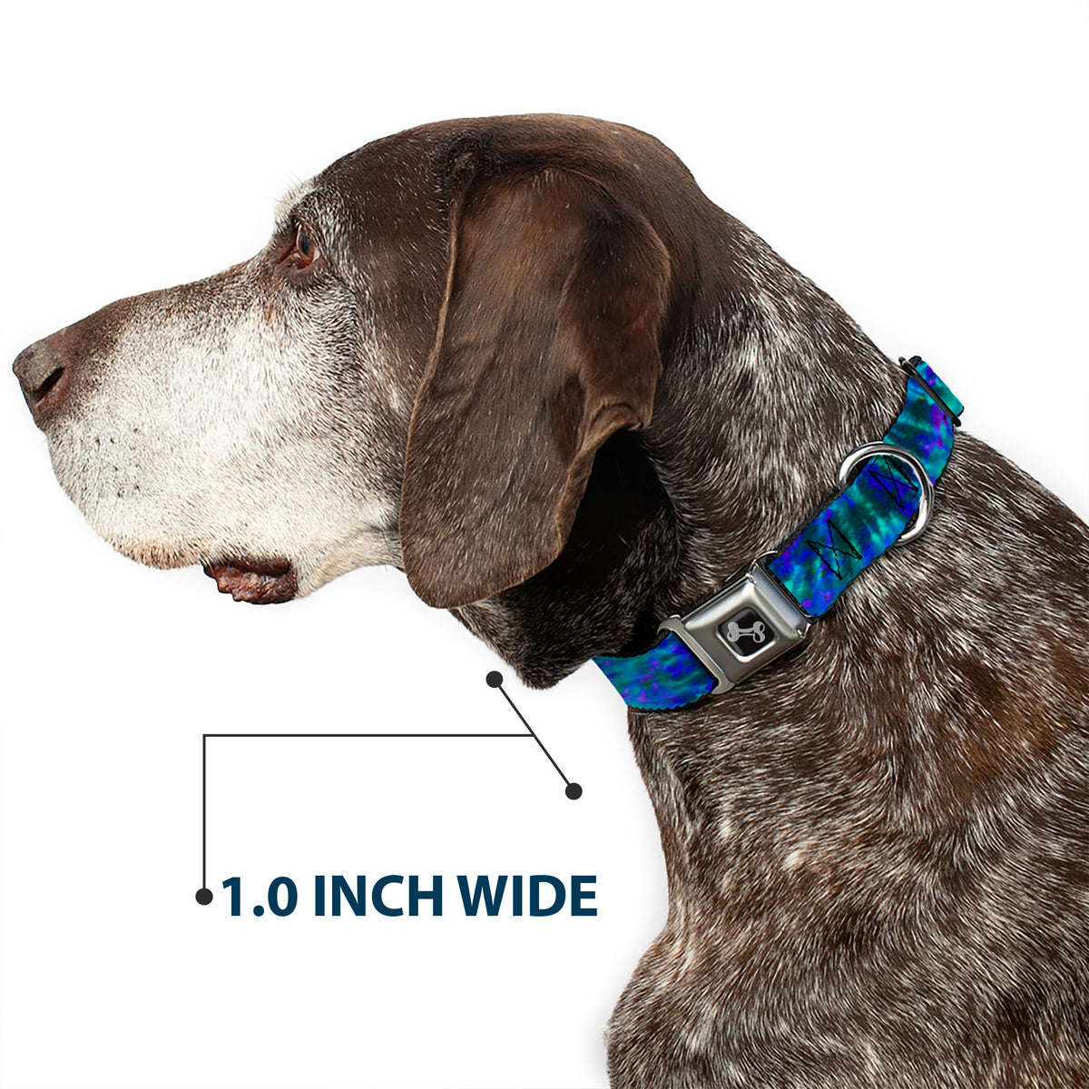 Dog Bone Seatbelt Buckle Collar - Tie Dye Green/Blue/Purple Dog Collars Seatbelt Buckle Buckle-Down