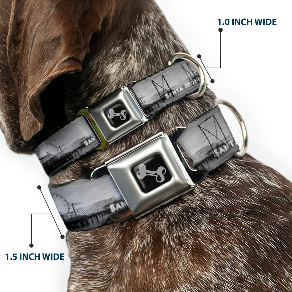 Dog Bone Seatbelt Buckle Collar - Vivid SANTA MONICA Pier Skyline Grays/White Dog Collars Seatbelt Buckle Buckle-Down