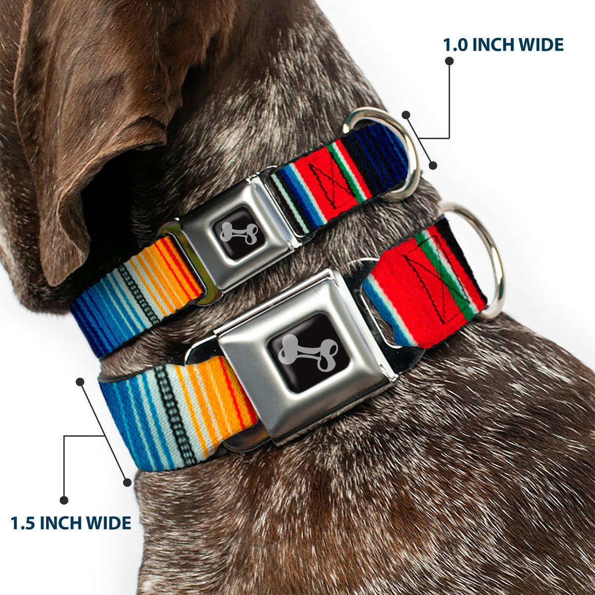 Dog Bone Seatbelt Buckle Collar - Zarape2 Vertical Multi Color Stripe Dog Collars Seatbelt Buckle Buckle-Down