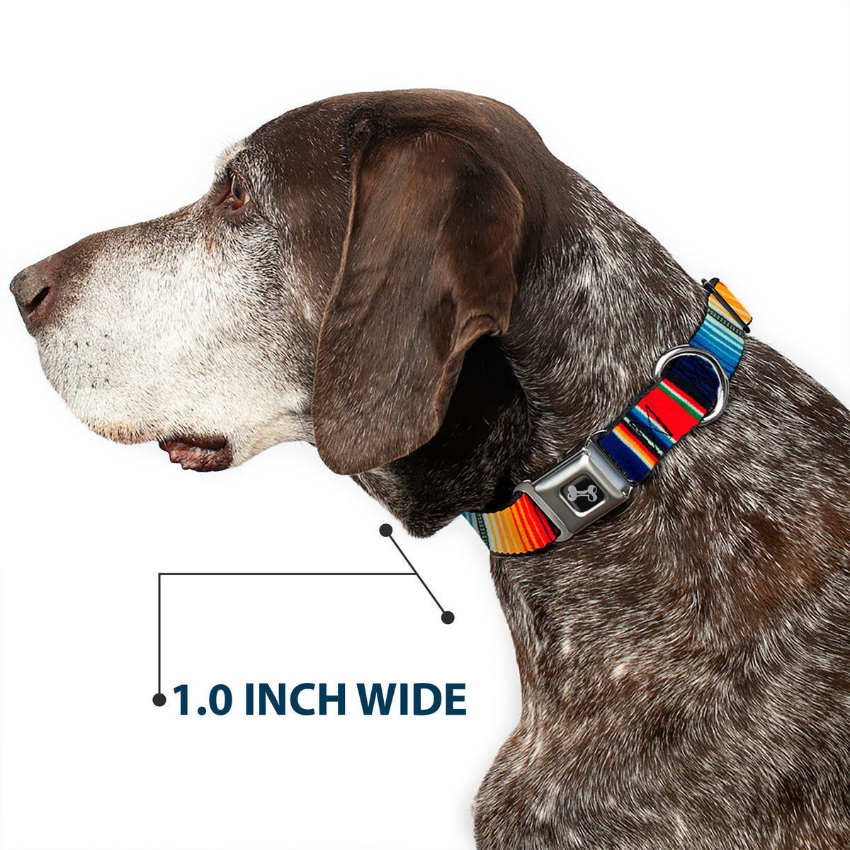 Dog Bone Seatbelt Buckle Collar - Zarape2 Vertical Multi Color Stripe Dog Collars Seatbelt Buckle Buckle-Down