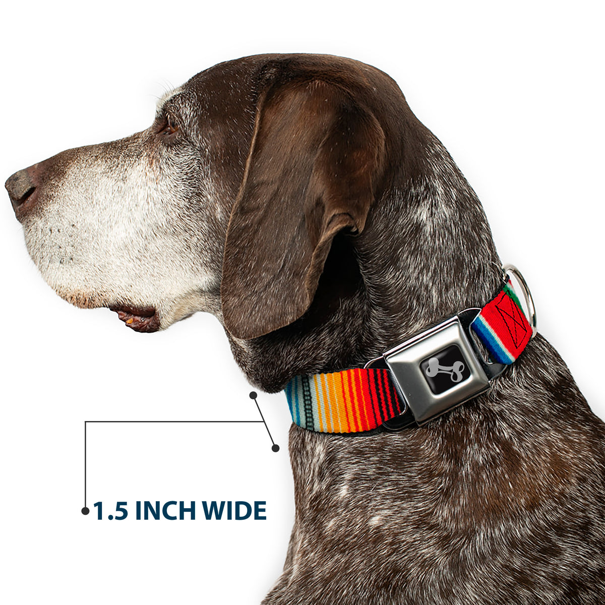 Dog Bone Seatbelt Buckle Collar - Zarape2 Vertical Multi Color Stripe Dog Collars Seatbelt Buckle Buckle-Down