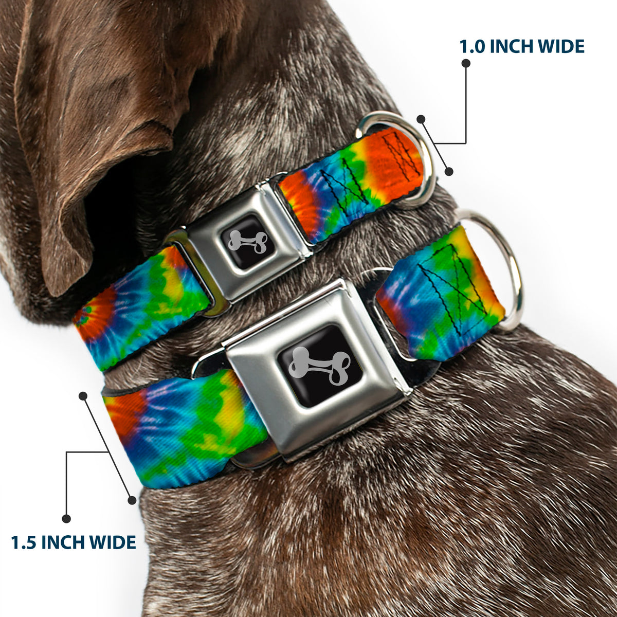 Dog Bone Seatbelt Buckle Collar - BD Tie Dye13 Dog Collars Seatbelt Buckle Buckle-Down
