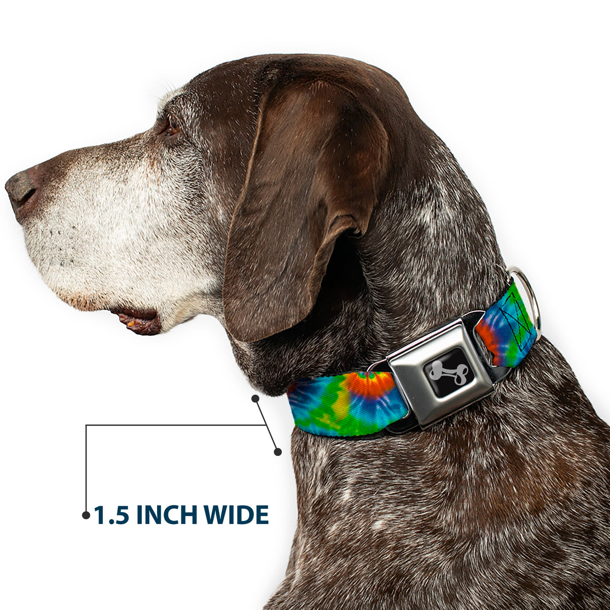 Dog Bone Seatbelt Buckle Collar - BD Tie Dye13 Dog Collars Seatbelt Buckle Buckle-Down