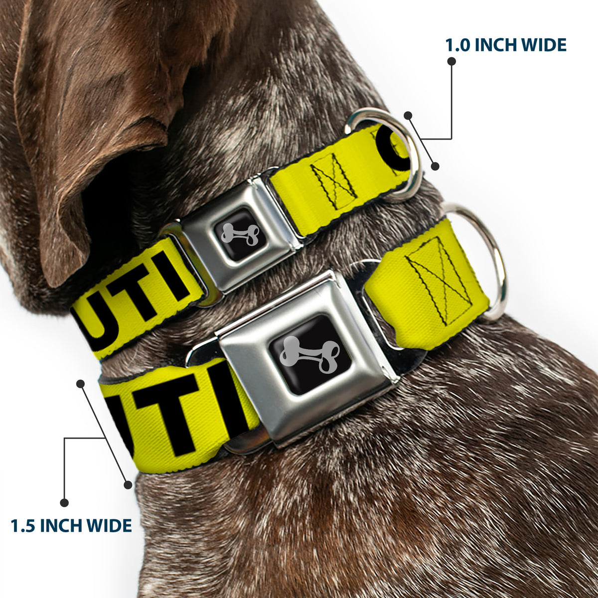 Dog Bone Seatbelt Buckle Collar - CAUTION Yellow/Black Dog Collars Seatbelt Buckle Buckle-Down
