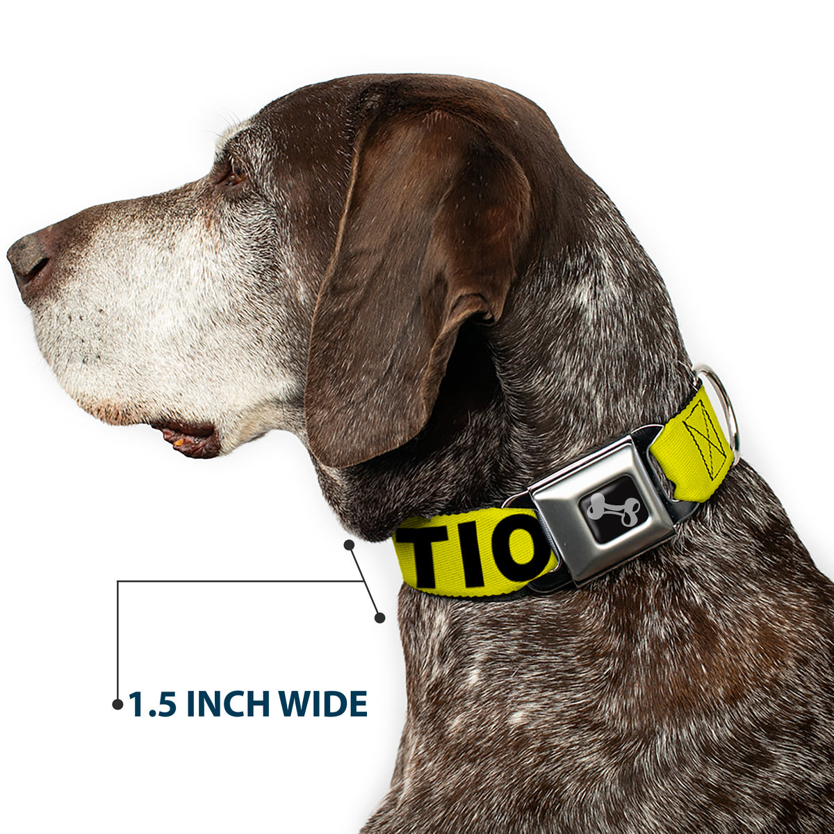 Dog Bone Seatbelt Buckle Collar - CAUTION Yellow/Black Dog Collars Seatbelt Buckle Buckle-Down