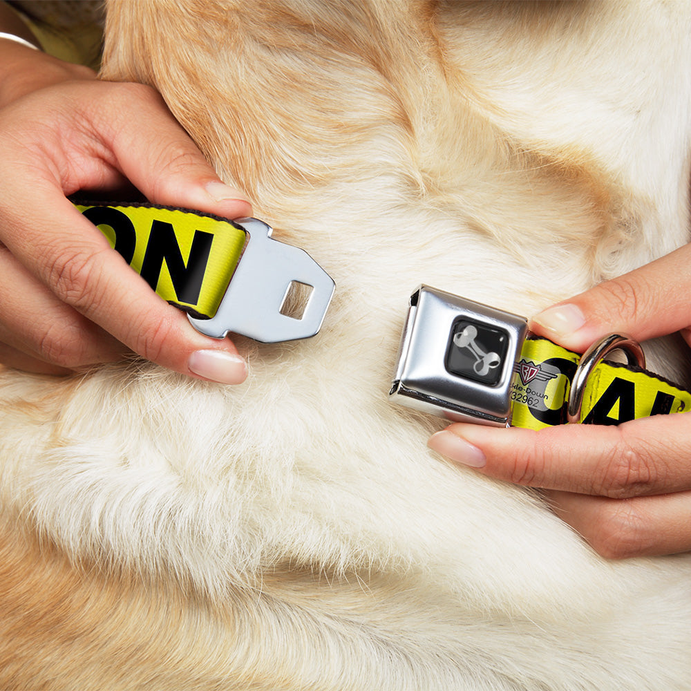 Dog Bone Seatbelt Buckle Collar - CAUTION Yellow/Black Dog Collars Seatbelt Buckle Buckle-Down
