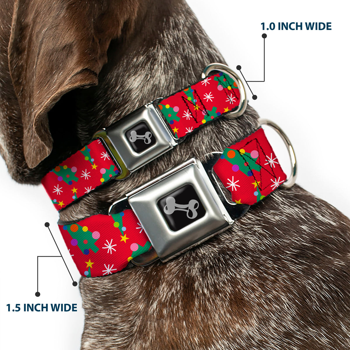 Dog Bone Black/Silver Seatbelt Buckle Collar - Festive Holiday Christmas Trees Scattered Red/Multi Color Dog Collars Seatbelt Buckle Buckle-Down