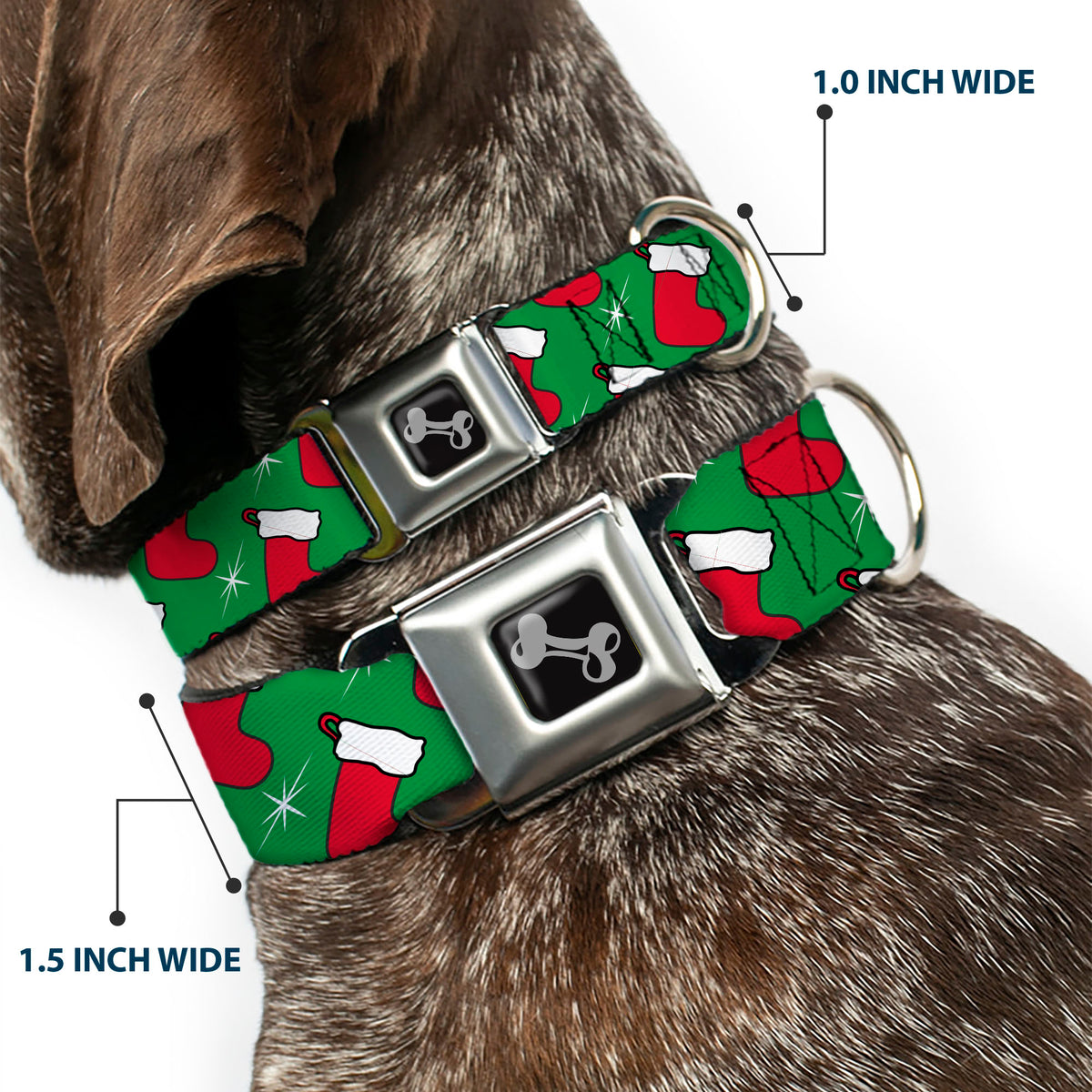 Dog Bone Black/Silver Seatbelt Buckle Collar - Holiday Christmas Stocking and Star Green/WhiteRed Dog Collars Seatbelt Buckle Buckle-Down