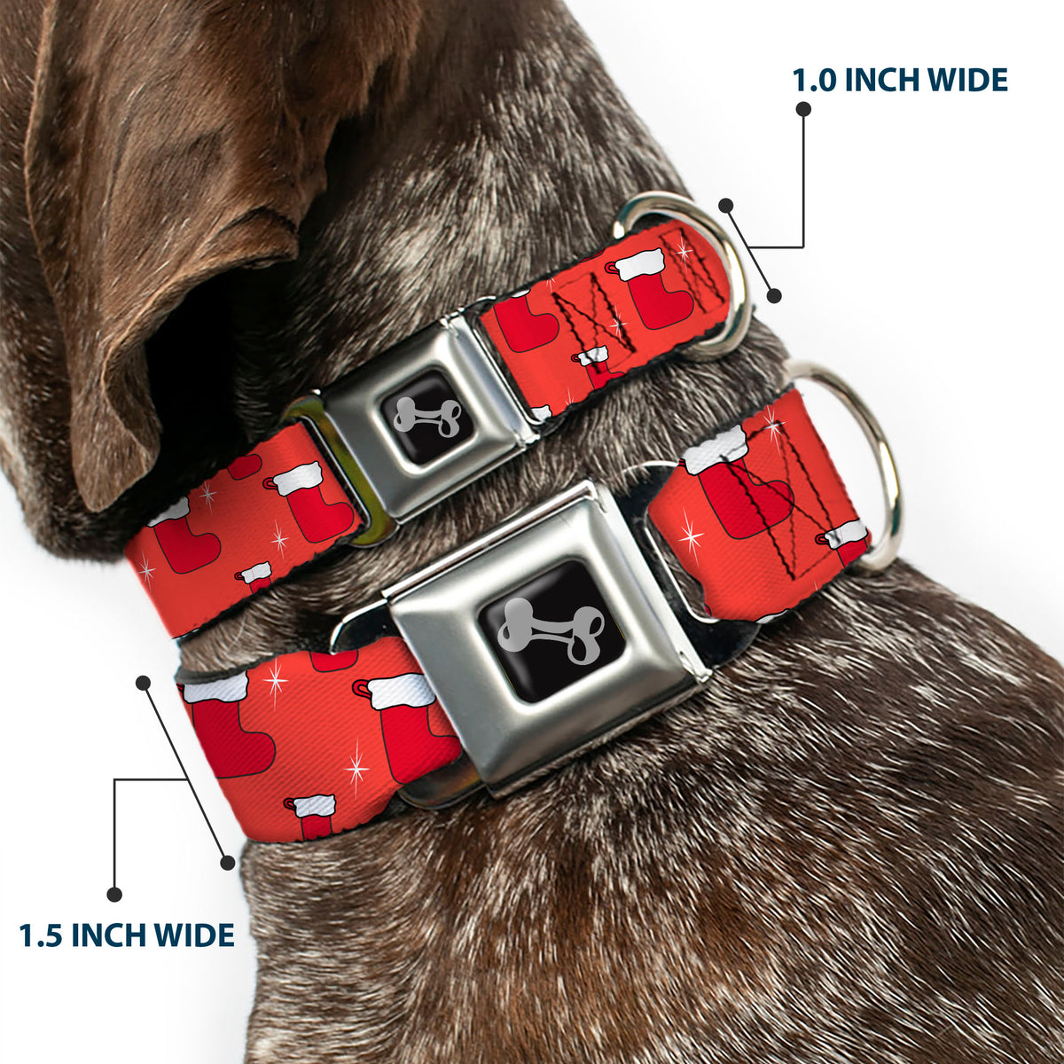 Dog Bone Black/Silver Seatbelt Buckle Collar - Holiday Christmas Stocking and Star Red/White Dog Collars Seatbelt Buckle Buckle-Down