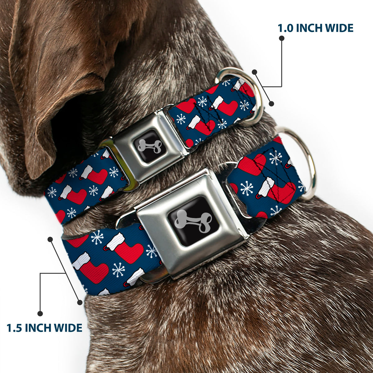 Dog Bone Black/Silver Seatbelt Buckle Collar - Holiday Christmas Stocking and Snowflake Blue/WhiteRed Dog Collars Seatbelt Buckle Buckle-Down