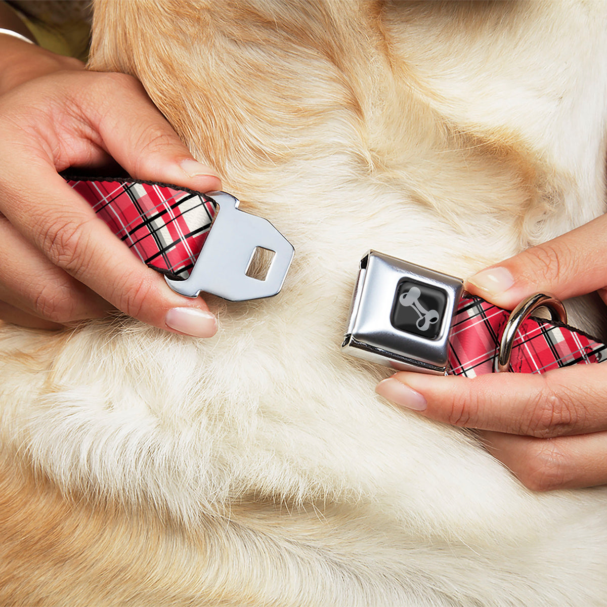 Dog Bone Black/Silver Seatbelt Buckle Collar - Holiday Christmas Plaid Diagonal White/Red/Black Dog Collars Seatbelt Buckle Buckle-Down