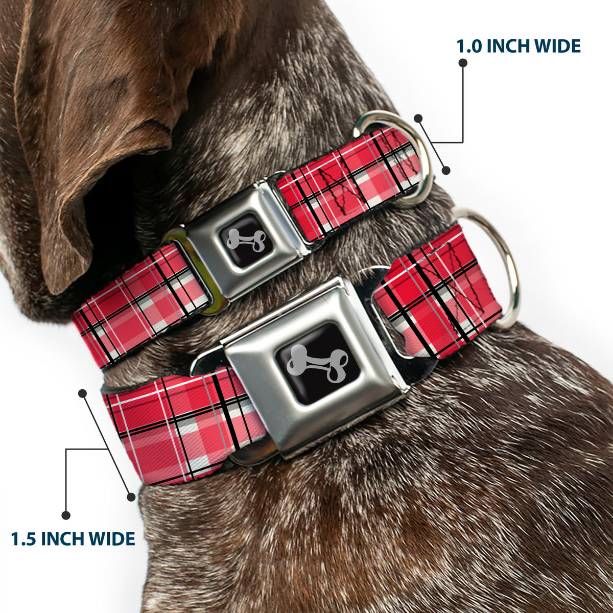 Dog Bone Black/Silver Seatbelt Buckle Collar - Holiday Christmas Plaid Red/White/Black Dog Collars Seatbelt Buckle Buckle-Down