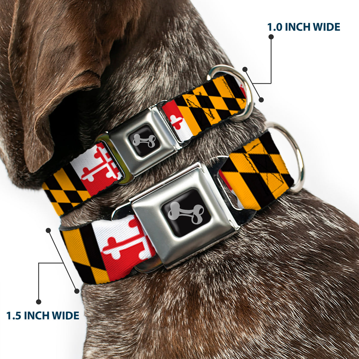 Dog Bone Seatbelt Buckle Collar - Maryland Flags Dog Collars Seatbelt Buckle Buckle-Down