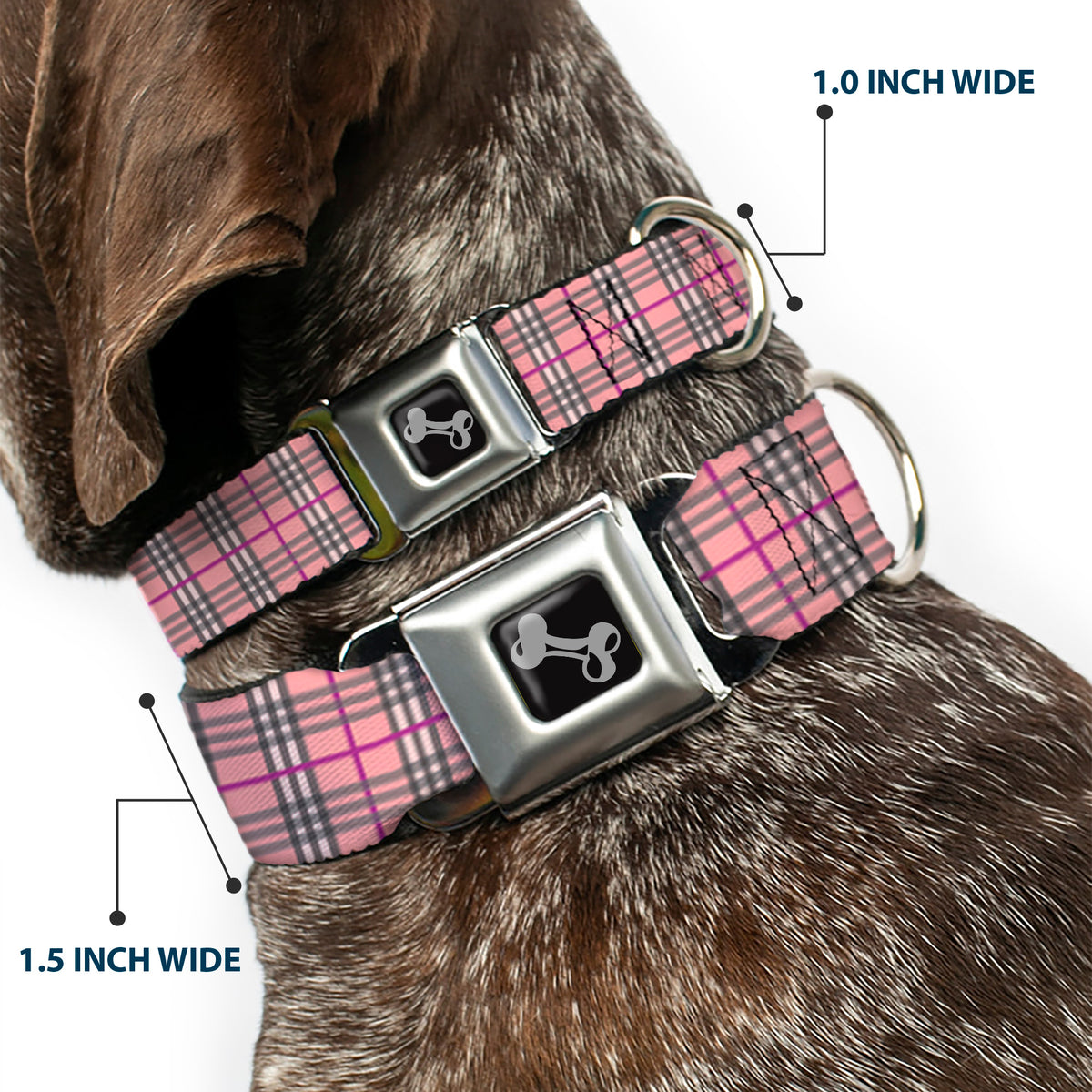 Dog Bone Seatbelt Buckle Collar - Plaid Pink Dog Collars Seatbelt Buckle Buckle-Down