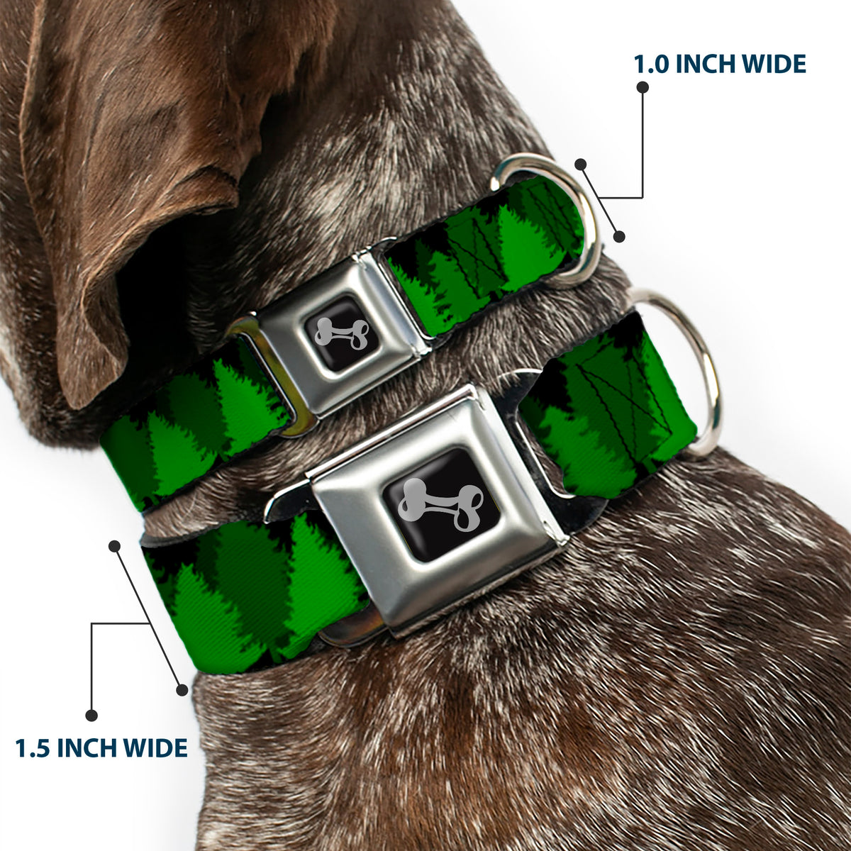 Dog Bone Seatbelt Buckle Collar - Pine Tree Silhouettes Black/Greens Dog Collars Seatbelt Buckle Buckle-Down