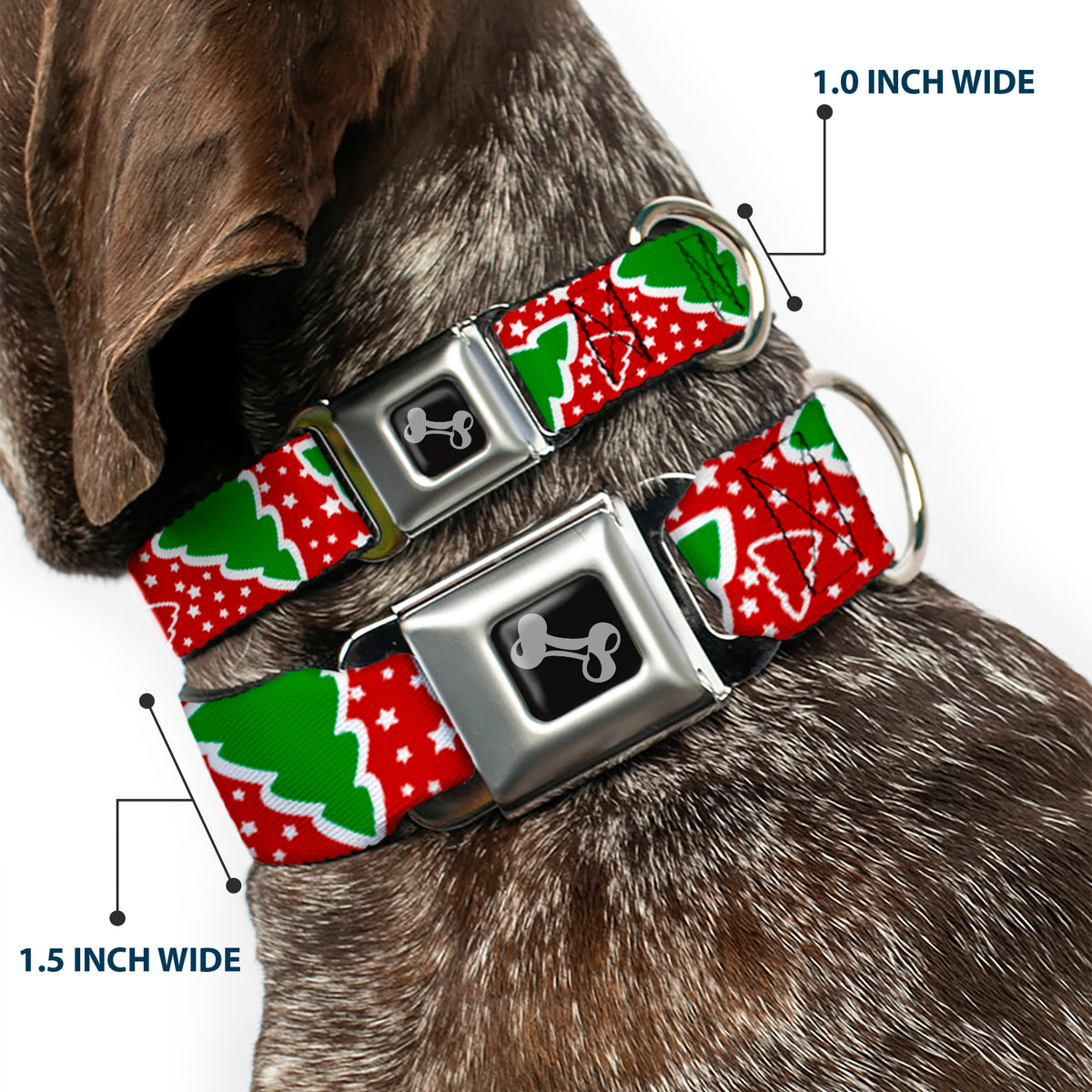 Dog Bone Seatbelt Buckle Collar - Christmas Trees/Stars Red/White/Green Dog Collars Seatbelt Buckle Buckle-Down