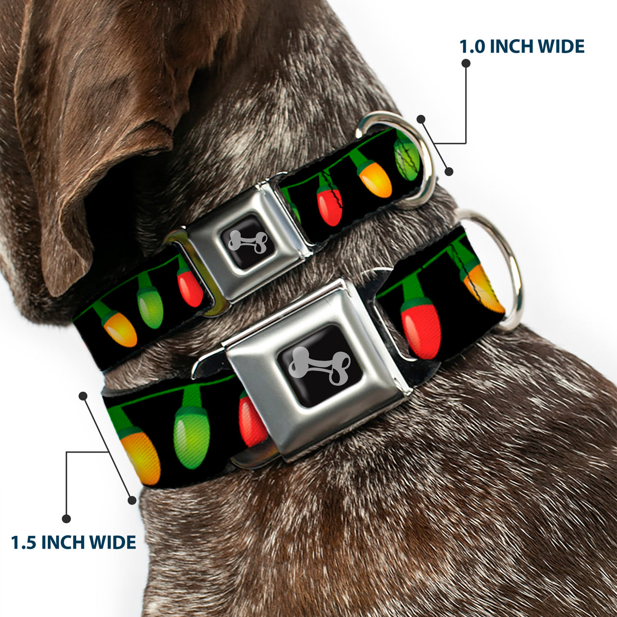 Dog Bone Seatbelt Buckle Collar - Christmas Lights Black/Multi Color Dog Collars Seatbelt Buckle Buckle-Down