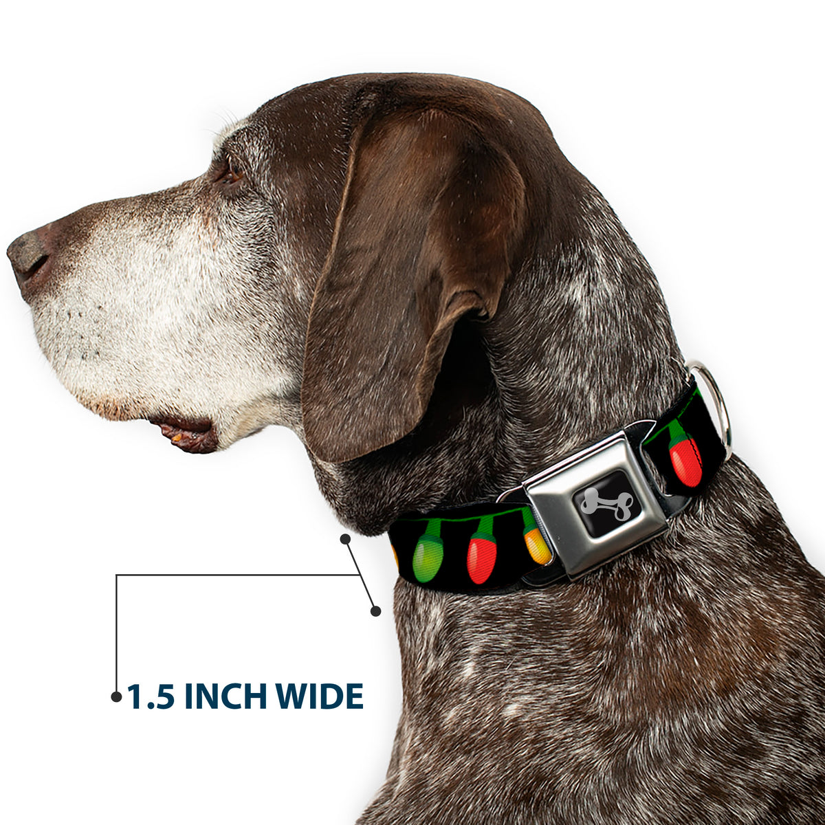 Dog Bone Seatbelt Buckle Collar - Christmas Lights Black/Multi Color Dog Collars Seatbelt Buckle Buckle-Down