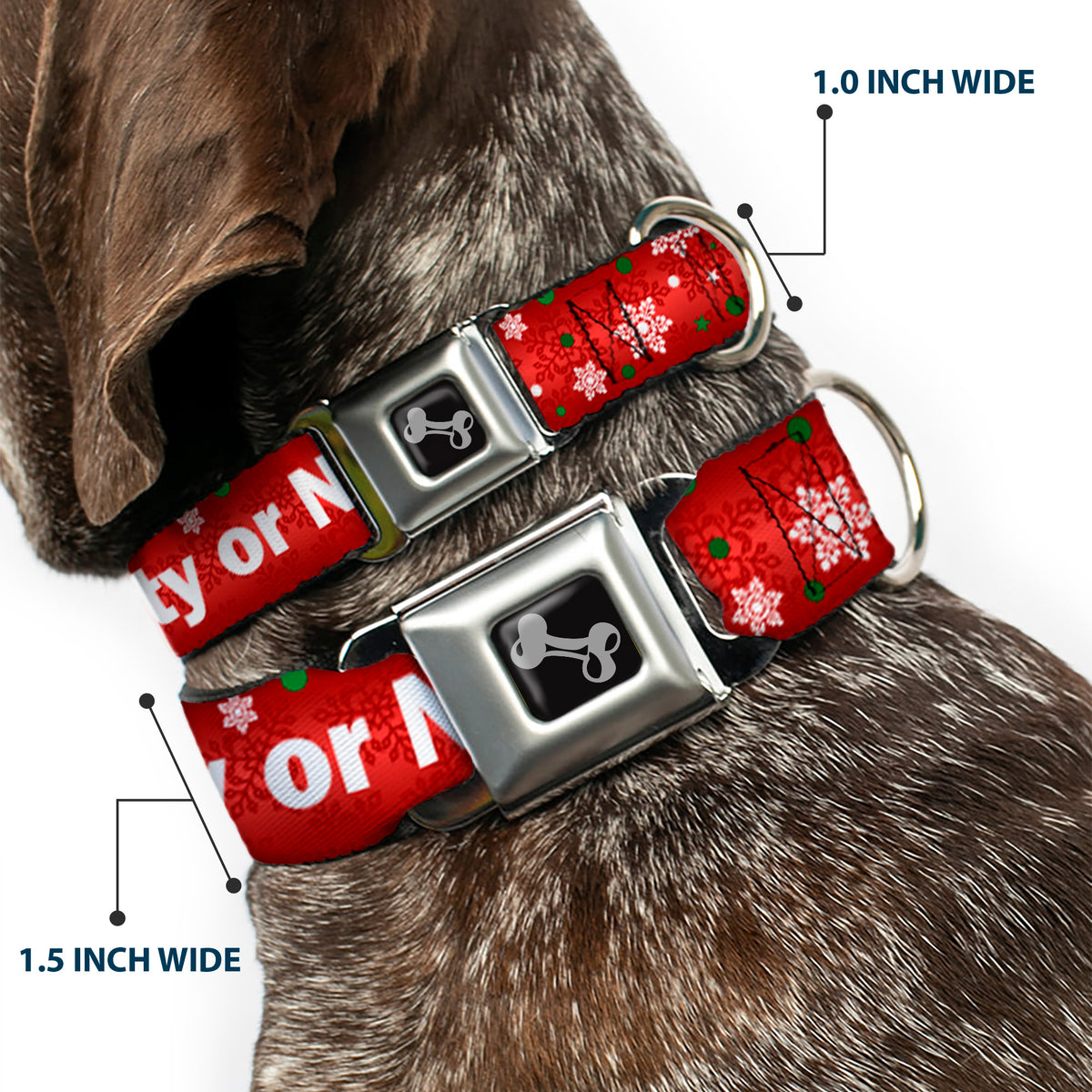 Dog Bone Seatbelt Buckle Collar - Christmas NAUGHTY OR NICE/Snowflakes Reds/White/Green Dog Collars Seatbelt Buckle Buckle-Down