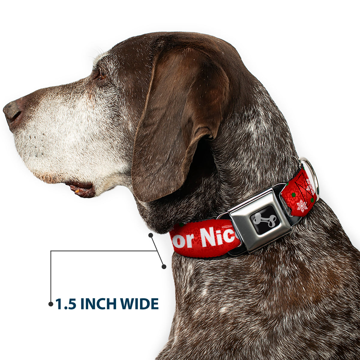 Dog Bone Seatbelt Buckle Collar - Christmas NAUGHTY OR NICE/Snowflakes Reds/White/Green Dog Collars Seatbelt Buckle Buckle-Down