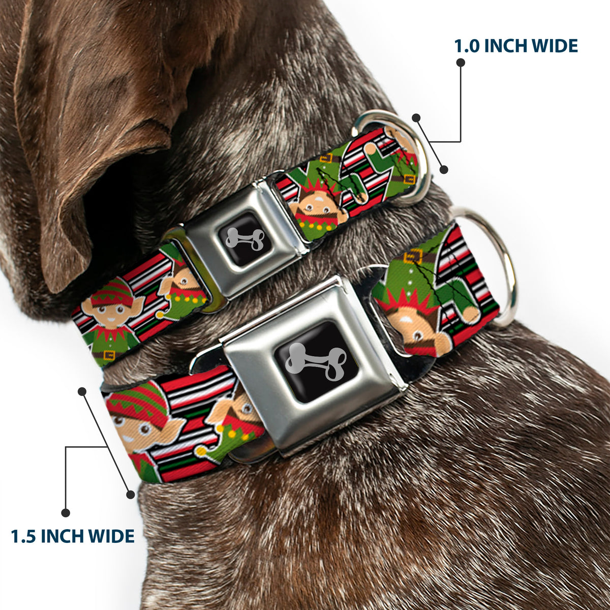 Dog Bone Seatbelt Buckle Collar - Christmas Elves/Stripes Black/Red/White/Green Dog Collars Seatbelt Buckle Buckle-Down