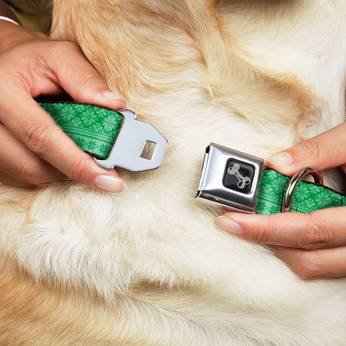 Dog Bone Black/Silver Seatbelt Buckle Collar - Christmas Holiday Fair Isle Stitch Pattern Greens Dog Collars Seatbelt Buckle Buckle-Down