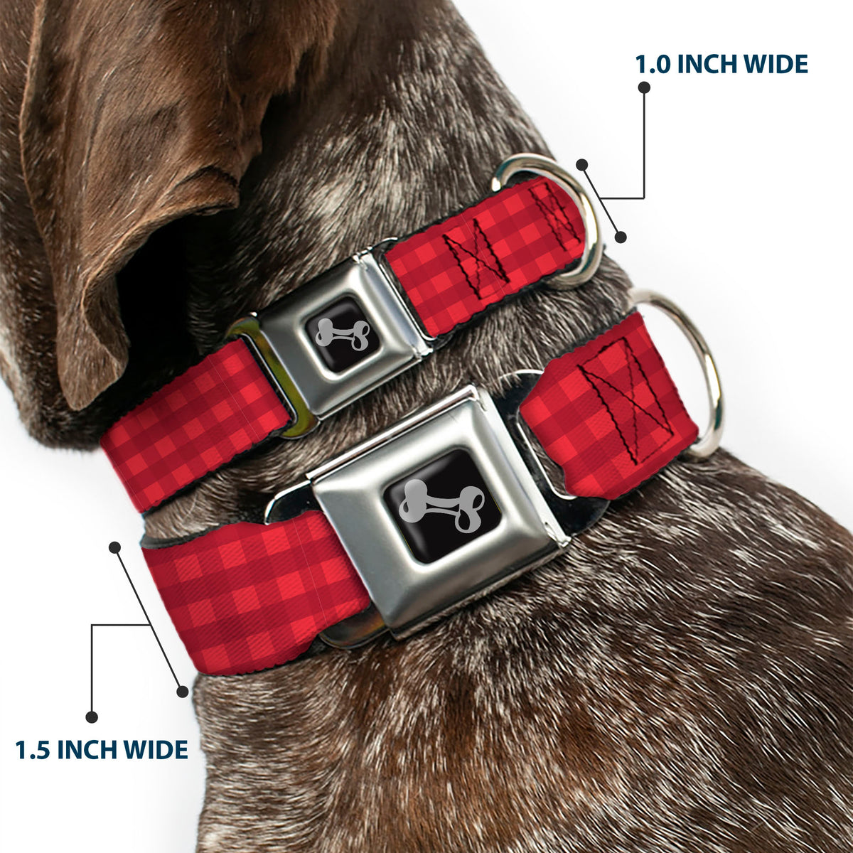 Dog Bone Black/Silver Seatbelt Buckle Collar - Christmas Pajama Plaid Reds Dog Collars Seatbelt Buckle Buckle-Down